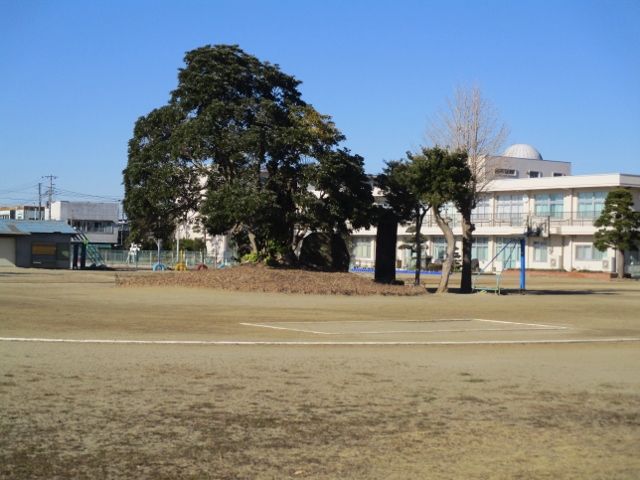 ������w��