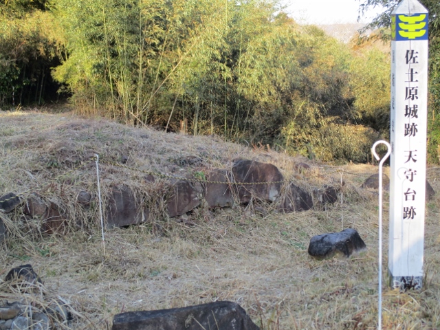 ���y����