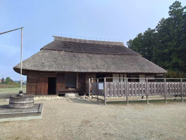 �����w��