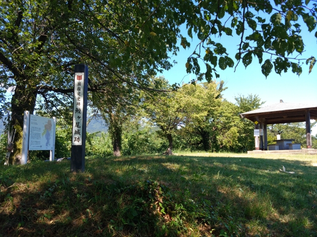 �L������