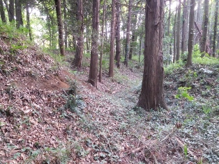 �����r��