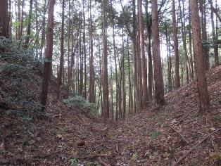 ���얀��i����R��j