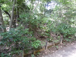 �������҉��~