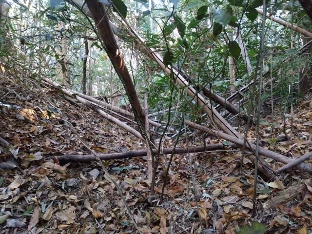 ���k�@�t��