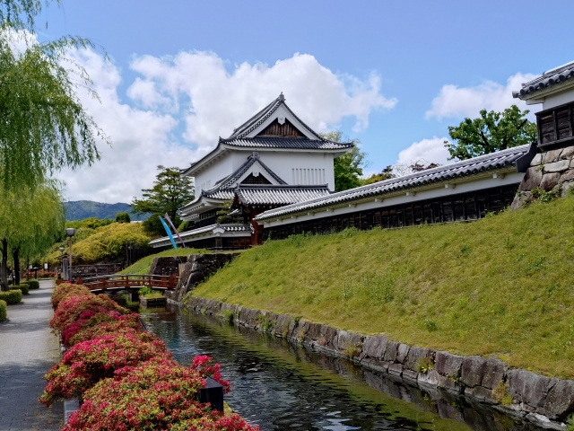 ��������