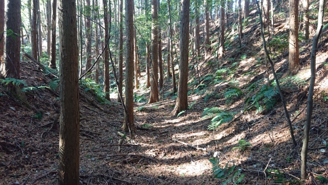 �z�K�R�k��