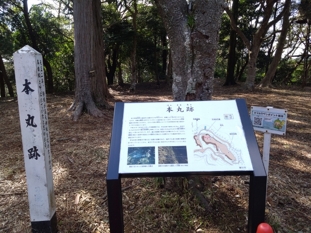 ���V�_��