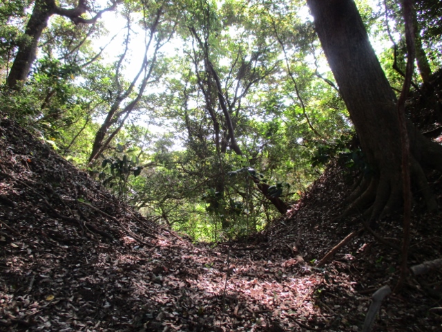 �����R��