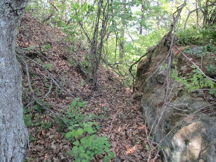 ���É���