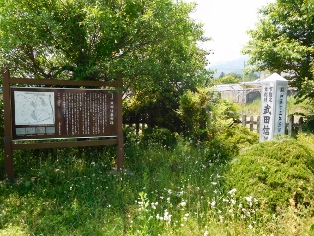 ���c�M�`��