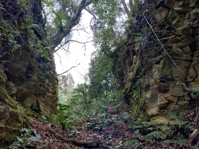 ���q�R��