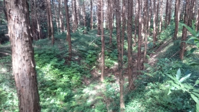 �����Y��