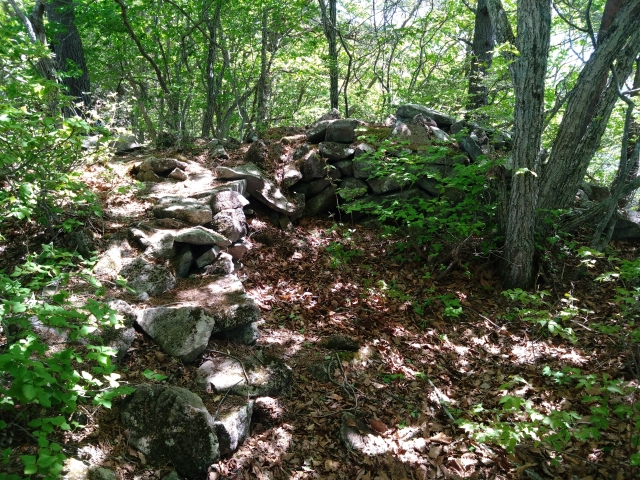 �����ԏ�