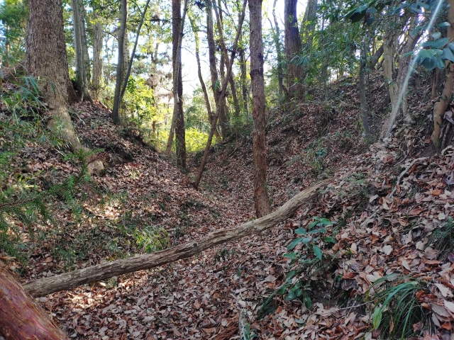 �����i��R�j