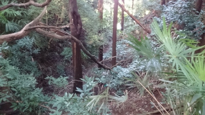 ���ю���