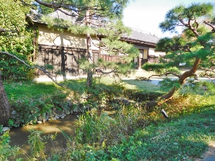 �y���w���i�i�c�w���j