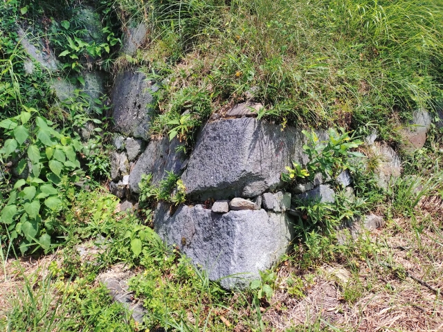 �F�ɏ��R��