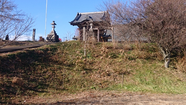 �F�c����