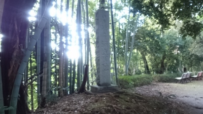 ���v�w��