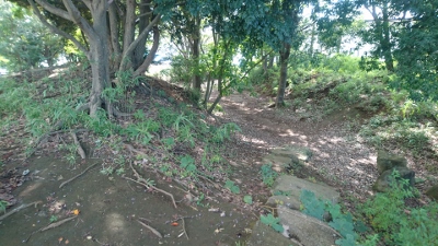 �a�ǔ�x����