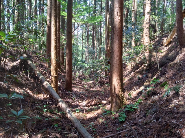 �R�c��i��s�j