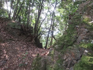 �g�c�����J��