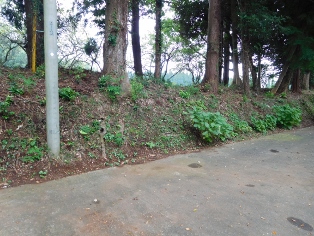 �P������