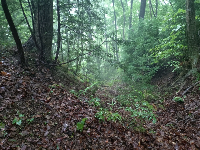 �q�����i�����j